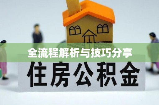 莺歌全流程解析与技巧分享